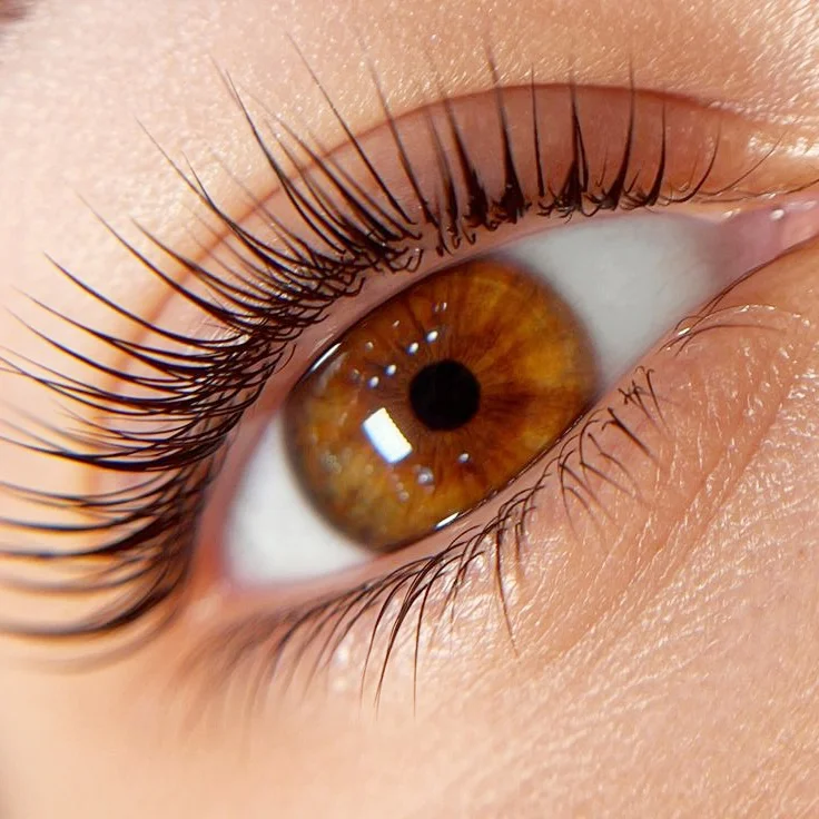 Eyelash Extension